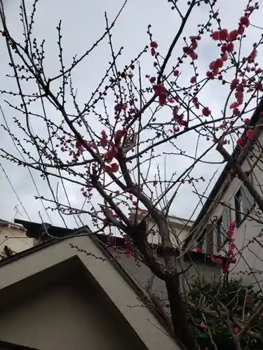 小淀東町会稲荷大明神(東京都)