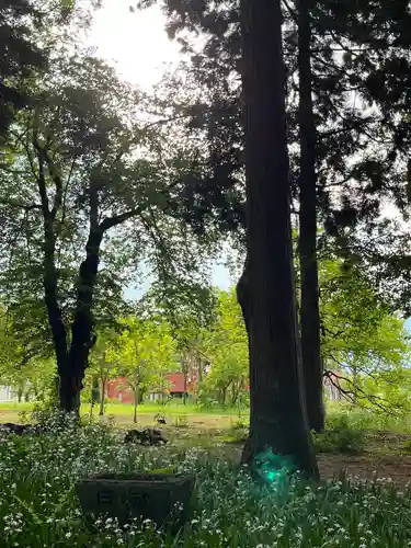 飯笠山神社(長野県)