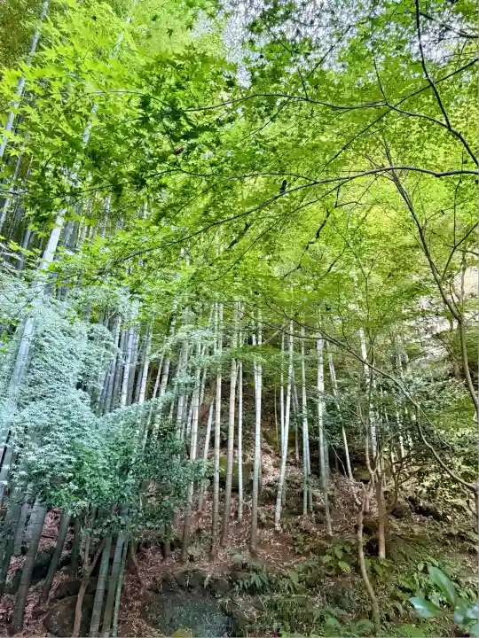 報国寺(神奈川県)