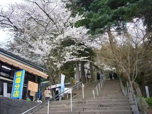 円通三匝堂（さざえ堂）の自然