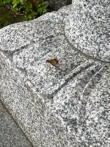 高野山金剛峯寺奥の院の動物