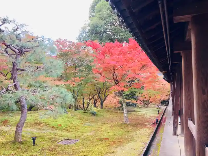 東福禅寺(東福寺)(京都府)
