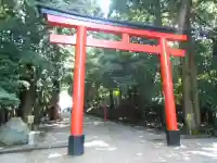 霧島神宮(鹿児島県)