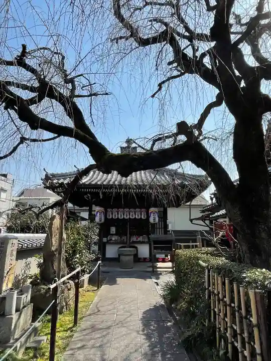 地蔵院(椿寺)(京都府)