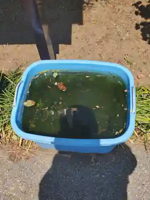 明王院(群馬県)