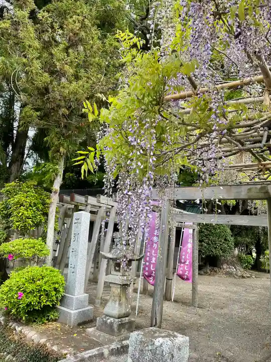 千引神社の自然