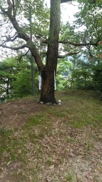 俵崎神社の自然