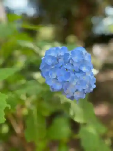 前原御嶽神社(千葉県)