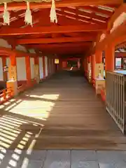 厳島神社(広島県)