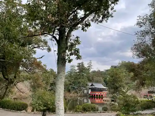 宇佐神宮の{uncategorized: "未分類", other: "その他", undefined: "問題あり", building: "その他建物", grave: "お墓", sacred_gate: "鳥居", guardian: "狛犬", statue: "像", buddha: "仏像", history: "歴史", nature: "自然", garden: "庭園", animal: "動物", pagoda: "塔", temizu: "手水舎", mountain_gate: "山門・神門", sanctuary: "本殿・本堂", subordinate: "末社・摂社", art: "芸術", scenery: "景色", jizo: "地蔵", ema: "絵馬", goshuin: "御朱印", omikuji: "おみくじ", items: "授与品その他", amulet: "お守り", goshuincho: "御朱印帳", eats: "食事", festival: "お祭り", votive_dance: "神楽", shichigosan: "七五三参", wedding: "結婚式", experience: "体験その他", initially: "初詣", around: "周辺", anti_infection: "感染症対策"}