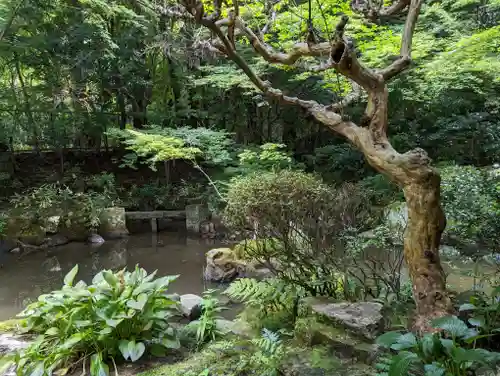 長楽寺の庭園