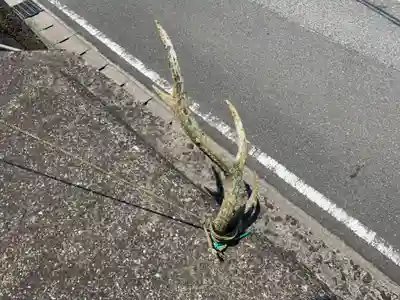 神社（名称不明）(千葉県)