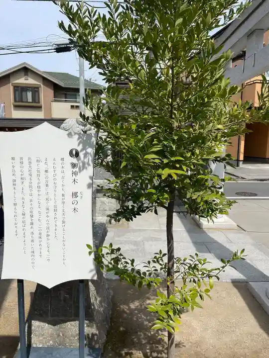 出雲大社埼玉分院(埼玉県)