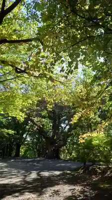 相馬神社(北海道)