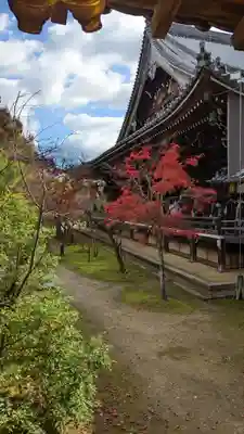 光明寺（粟生光明寺）(京都府)