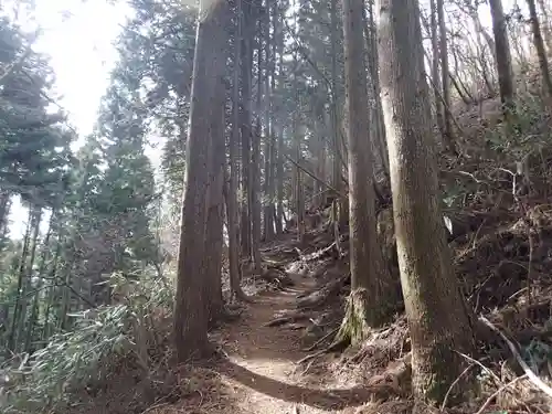 武蔵御嶽神社奥の院の自然