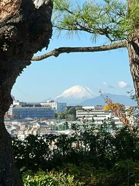 孝道山(神奈川県)