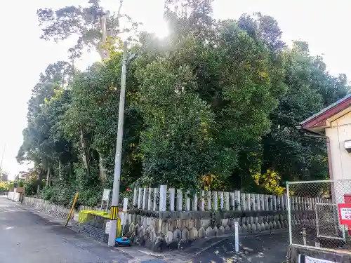 奥津神社の自然