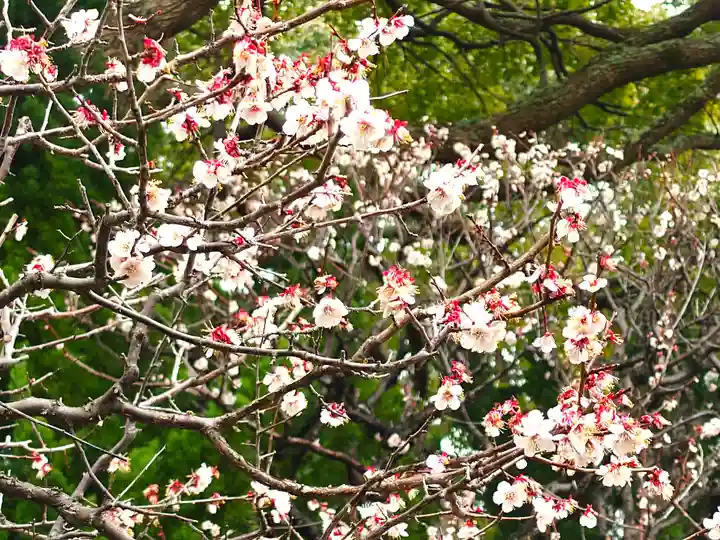 宝戒寺(神奈川県)
