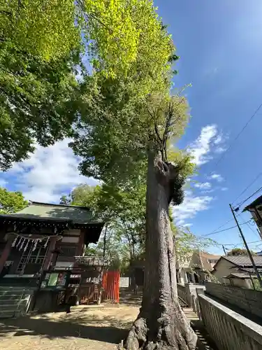 青渭神社の自然