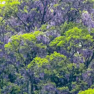 伊勢の国 四天王寺(三重県)