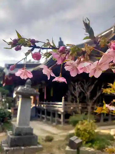椎尾山薬王院(茨城県)