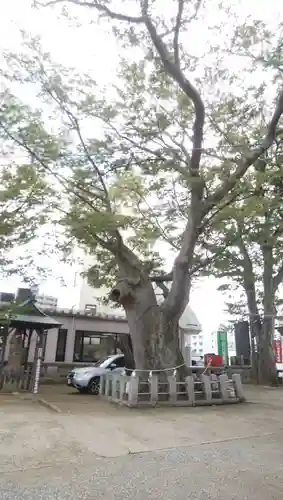 阿邪訶根神社(福島県)