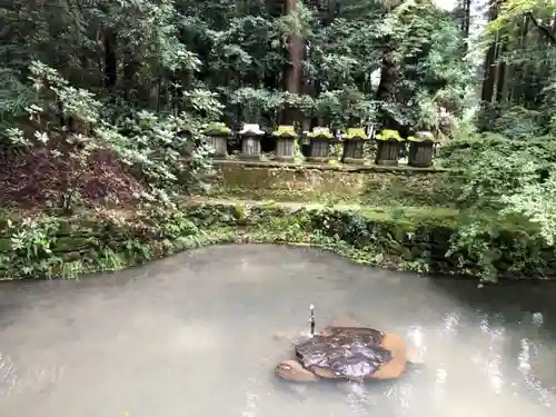 美奈宜神社の庭園