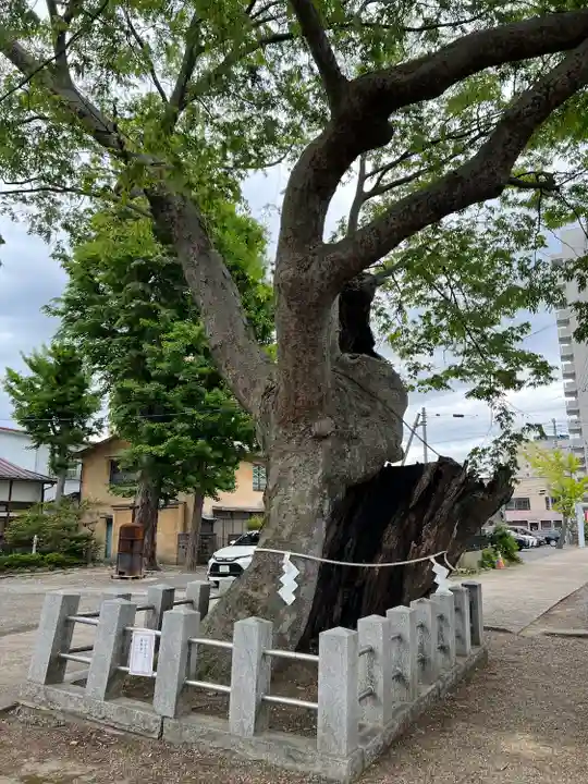 阿邪訶根神社の自然