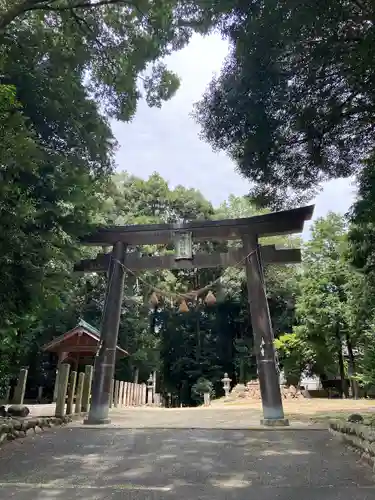 土田白鬚神社の鳥居