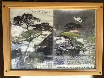 平野の一本松と地蔵堂（十王堂跡）(兵庫県)