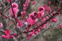 中山寺(兵庫県)