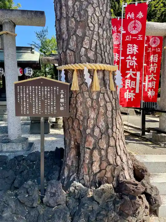 中野沼袋氷川神社の{uncategorized: "未分類", other: "その他", undefined: "問題あり", building: "その他建物", grave: "お墓", sacred_gate: "鳥居", guardian: "狛犬", statue: "像", buddha: "仏像", history: "歴史", nature: "自然", garden: "庭園", animal: "動物", pagoda: "塔", temizu: "手水舎", mountain_gate: "山門・神門", sanctuary: "本殿・本堂", subordinate: "末社・摂社", art: "芸術", scenery: "景色", jizo: "地蔵", ema: "絵馬", goshuin: "御朱印", omikuji: "おみくじ", items: "授与品その他", amulet: "お守り", goshuincho: "御朱印帳", eats: "食事", festival: "お祭り", votive_dance: "神楽", shichigosan: "七五三参", wedding: "結婚式", experience: "体験その他", initially: "初詣", around: "周辺", anti_infection: "感染症対策"}