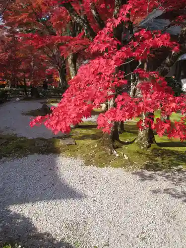 永源寺の庭園