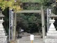 八幡社(柏井町)の鳥居