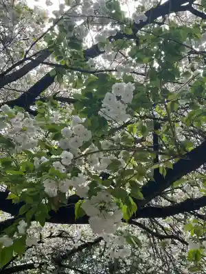 ときわ台天祖神社(東京都)