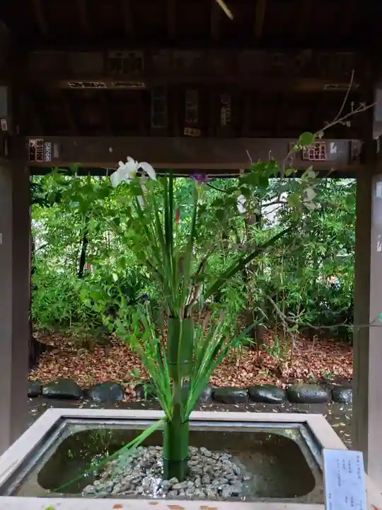 赤坂氷川神社(東京都)