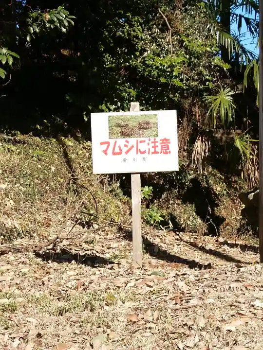 伊古乃速御玉比売神社の{uncategorized: "未分類", other: "その他", undefined: "問題あり", building: "その他建物", grave: "お墓", sacred_gate: "鳥居", guardian: "狛犬", statue: "像", buddha: "仏像", history: "歴史", nature: "自然", garden: "庭園", animal: "動物", pagoda: "塔", temizu: "手水舎", mountain_gate: "山門・神門", sanctuary: "本殿・本堂", subordinate: "末社・摂社", art: "芸術", scenery: "景色", jizo: "地蔵", ema: "絵馬", goshuin: "御朱印", omikuji: "おみくじ", items: "授与品その他", amulet: "お守り", goshuincho: "御朱印帳", eats: "食事", festival: "お祭り", votive_dance: "神楽", shichigosan: "七五三参", wedding: "結婚式", experience: "体験その他", initially: "初詣", around: "周辺", anti_infection: "感染症対策"}