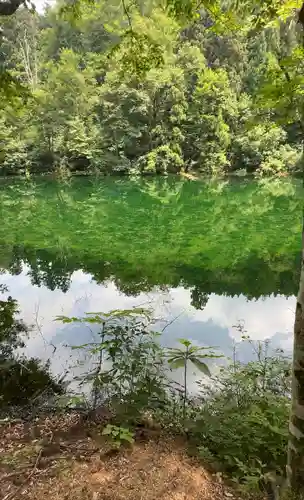 龍ヶ窪神社(新潟県)