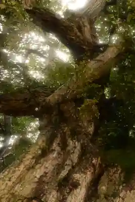 揖夜神社(島根県)