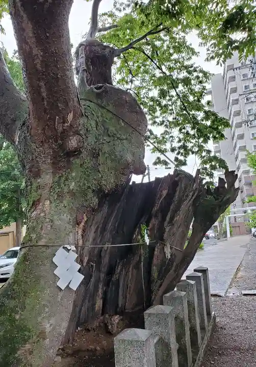 阿邪訶根神社の自然