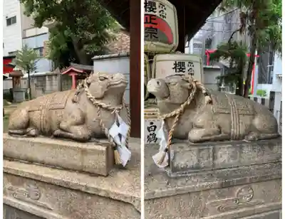 走水神社の狛犬