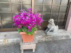 春日神社の狛犬