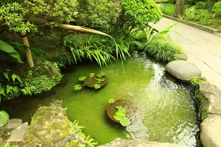 報国寺(神奈川県)