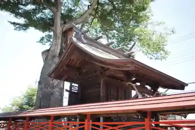 橘神社の本殿・本堂