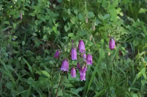 国宝 大法寺の自然