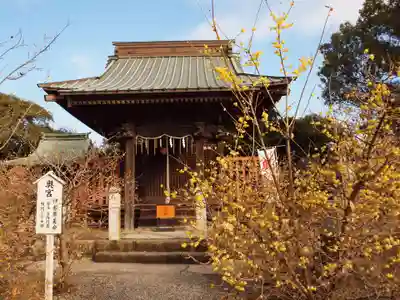 板倉雷電神社(群馬県)