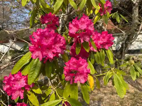 木舟山　順教寺(広島県)