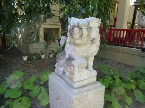 矢先稲荷神社の狛犬