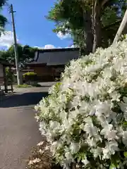 田出宇賀神社の自然